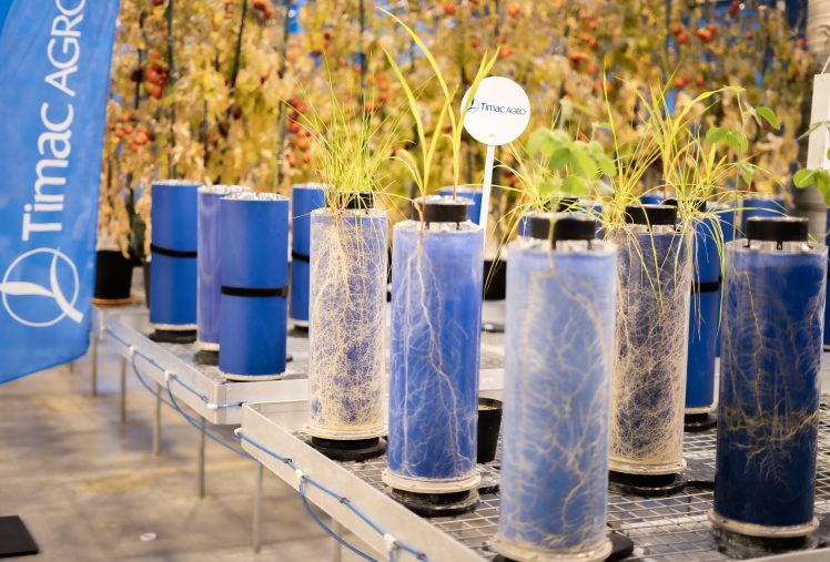 Timac Blue TIMAC AGRO : High-Tech Innovation Serving Sustainable Agriculture ...