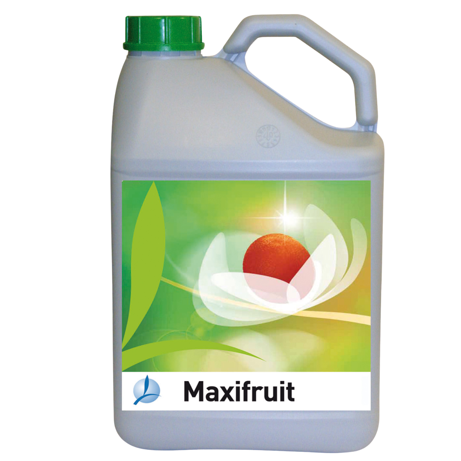 MAXIFRUIT