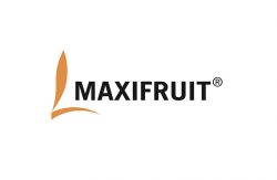 Maxifruit